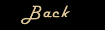 Back to The Wedding Album